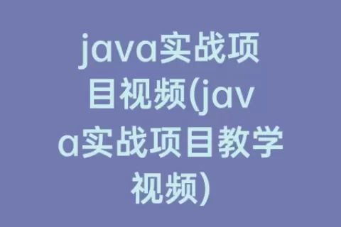 java实战项目视频(java实战项目教学视频)