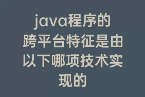 java程序的跨平台特征是由以下哪项技术实现的