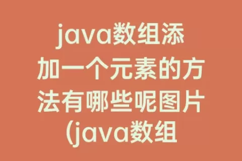 java数组添加一个元素的方法有哪些呢图片(java数组拷贝)