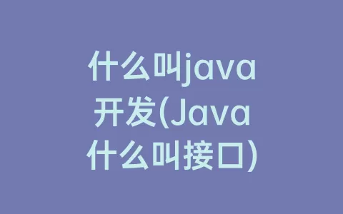 什么叫java开发(Java什么叫接口)
