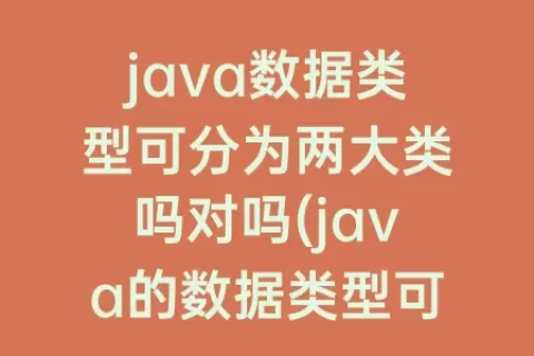 java数据类型可分为两大类吗对吗(java的数据类型可分为哪两大类)