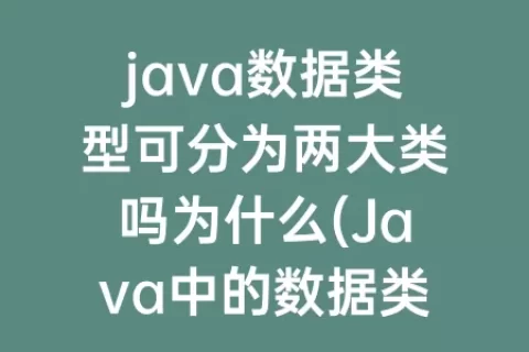 java数据类型可分为两大类吗为什么(Java中的数据类型分为两大类)
