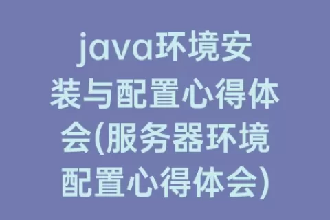 java环境安装与配置心得体会(服务器环境配置心得体会)