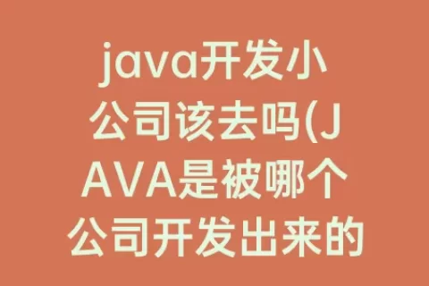 java开发小公司该去吗(JAVA是被哪个公司开发出来的)