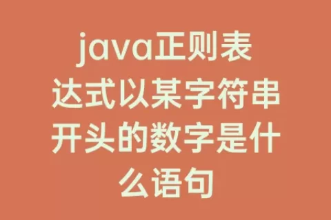 java正则表达式以某字符串开头的数字是什么语句