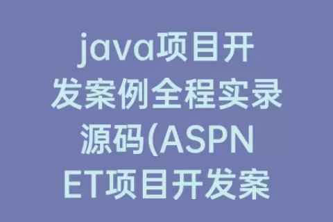 java项目开发案例全程实录源码(ASPNET项目开发案例全程实录)