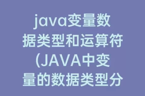 java变量数据类型和运算符(JAVA中变量的数据类型分为)