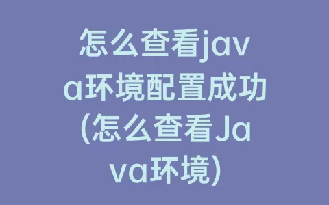 怎么查看java环境配置成功(怎么查看Java环境)