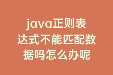 java正则表达式不能匹配数据吗怎么办呢