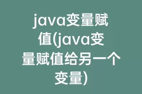 java变量赋值(java变量赋值给另一个变量)
