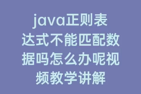 java正则表达式不能匹配数据吗怎么办呢视频教学讲解