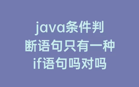 java条件判断语句只有一种if语句吗对吗