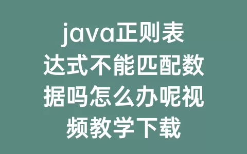 java正则表达式不能匹配数据吗怎么办呢视频教学下载