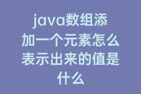 java数组添加一个元素怎么表示出来的值是什么