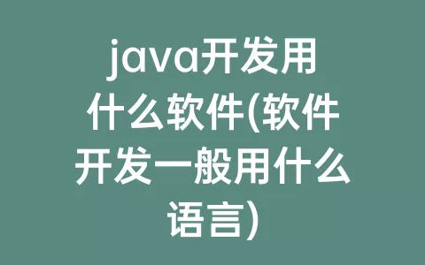 java开发用什么软件(软件开发一般用什么语言)