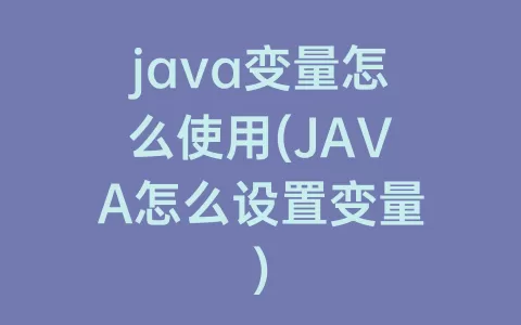 java变量怎么使用(JAVA怎么设置变量)