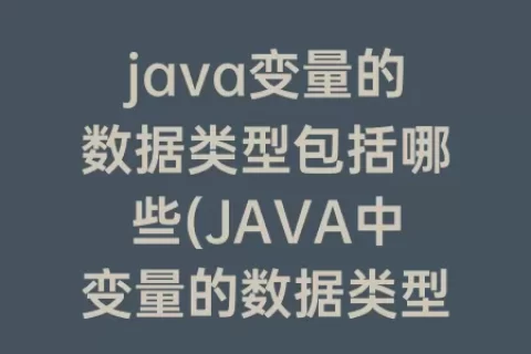 java变量的数据类型包括哪些(JAVA中变量的数据类型分为)