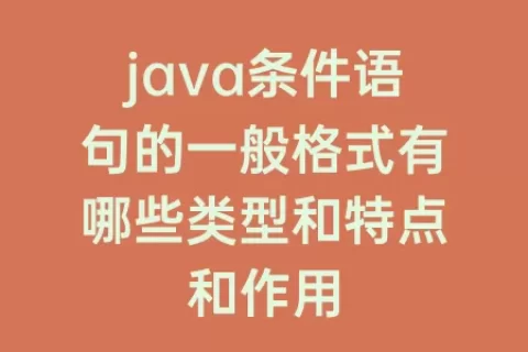 java条件语句的一般格式有哪些类型和特点和作用