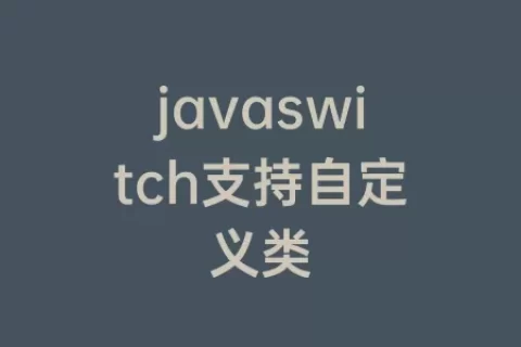 javaswitch支持自定义类