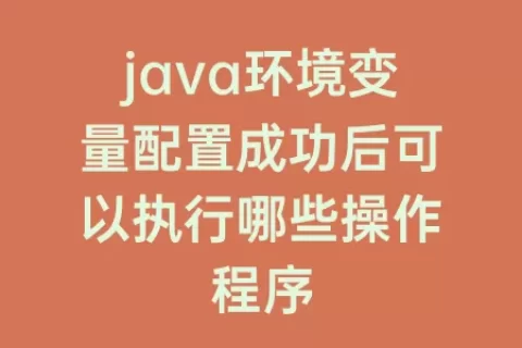 java环境变量配置成功后可以执行哪些操作程序