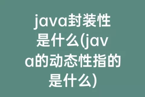 java封装性是什么(java的动态性指的是什么)