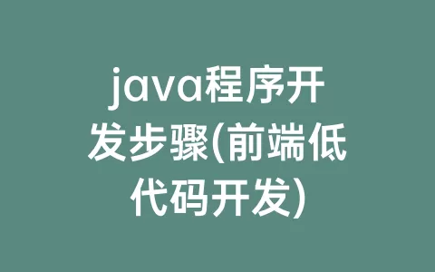 java程序开发步骤(前端低代码开发)