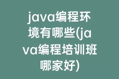 java编程环境有哪些(java编程培训班哪家好)