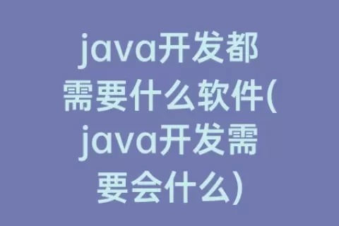 java开发都需要什么软件(java开发需要会什么)