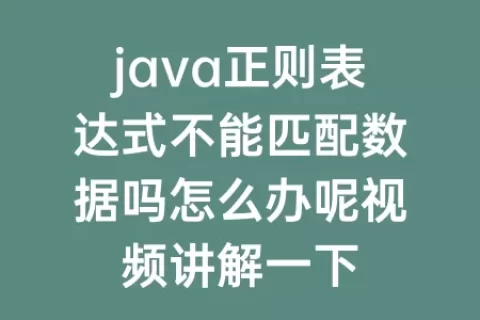 java正则表达式不能匹配数据吗怎么办呢视频讲解一下