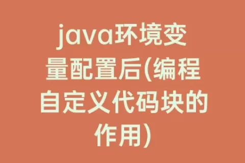 java环境变量配置后(编程自定义代码块的作用)