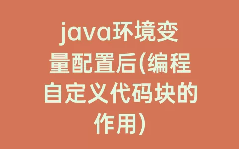 java环境变量配置后(编程自定义代码块的作用)