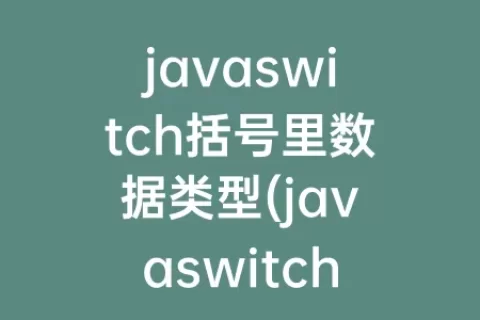 javaswitch括号里数据类型(javaswitch括号内的数据类型可以为())
