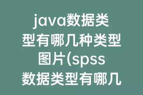 java数据类型有哪几种类型图片(spss数据类型有哪几种类型)