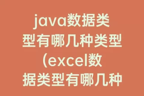 java数据类型有哪几种类型(excel数据类型有哪几种类型)