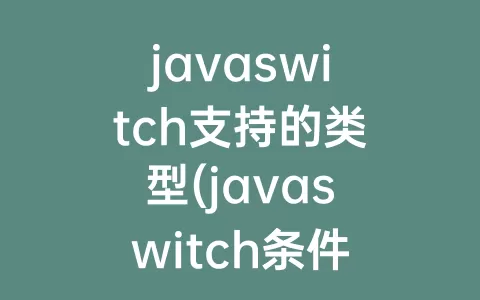 javaswitch支持的类型(javaswitch条件类型)