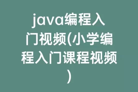 java编程入门视频(小学编程入门课程视频)