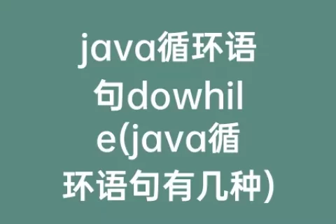 java循环语句dowhile(java循环语句有几种)
