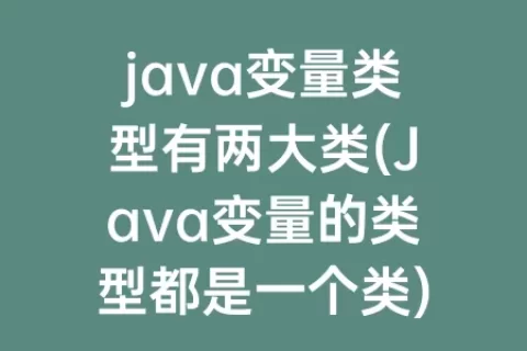 java变量类型有两大类(Java变量的类型都是一个类)