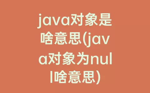 java对象是啥意思(java对象为null啥意思)