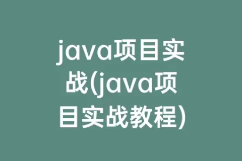 java项目实战(java项目实战教程)