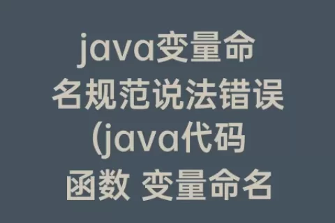 java变量命名规范说法错误(java代码函数 变量命名规范)