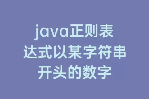 java正则表达式以某字符串开头的数字