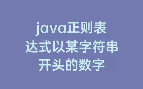 java正则表达式以某字符串开头的数字