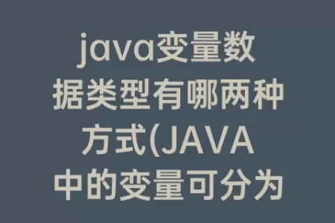 java变量数据类型有哪两种方式(JAVA中的变量可分为两种数据类型)