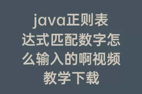 java正则表达式匹配数字怎么输入的啊视频教学下载