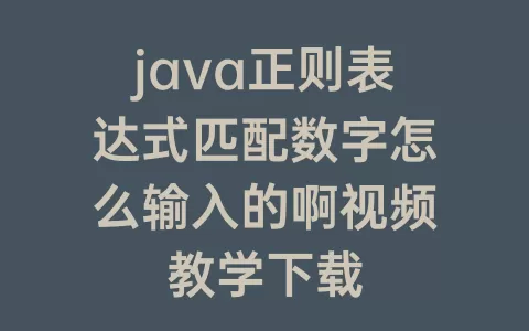 java正则表达式匹配数字怎么输入的啊视频教学下载
