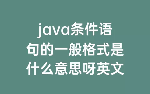 java条件语句的一般格式是什么意思呀英文