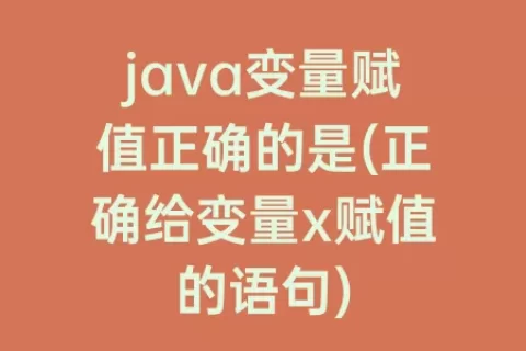java变量赋值正确的是(正确给变量x赋值的语句)