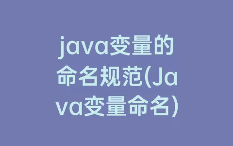 java变量的命名规范(Java变量命名)