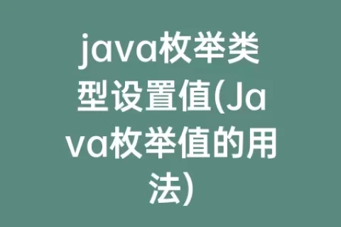 java枚举类型设置值(Java枚举值的用法)